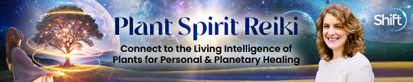 Plant Spirit Reiki