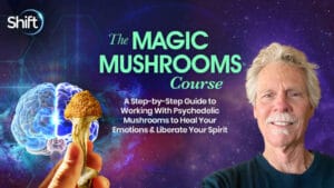 The Magic Mushrooms Course