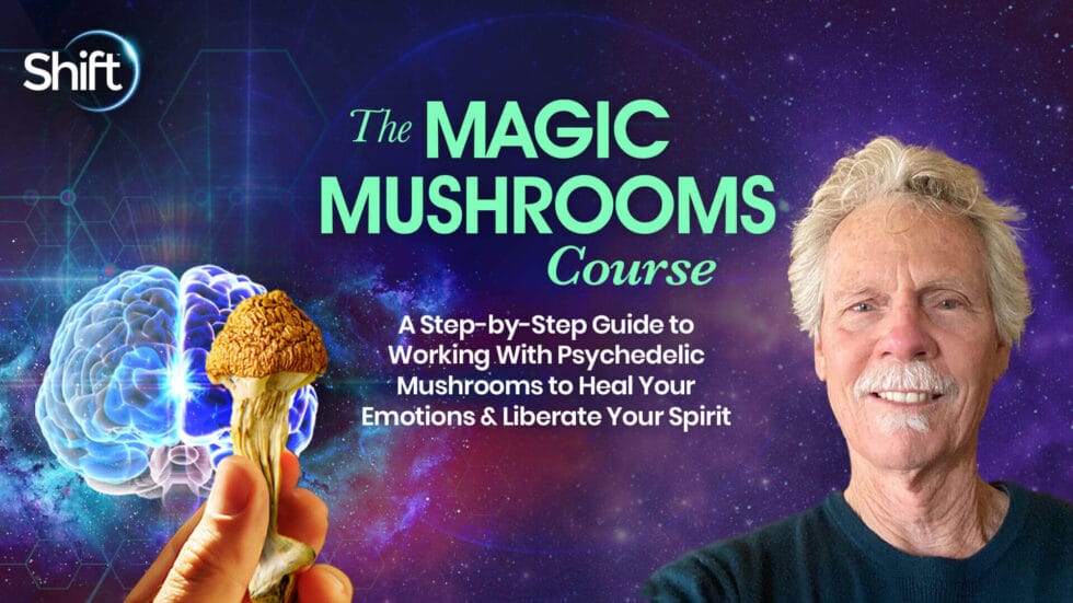 The Magic Mushrooms Course