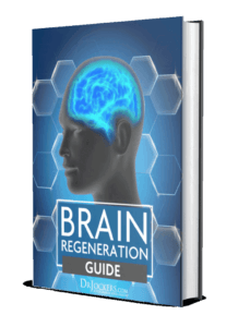Brain Regeneration Guide