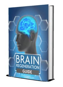 The Brain Regeneration Guide
