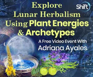 Cosmic Herbalism