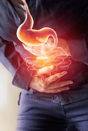 Reversing Chronic Gut Conditions Summit