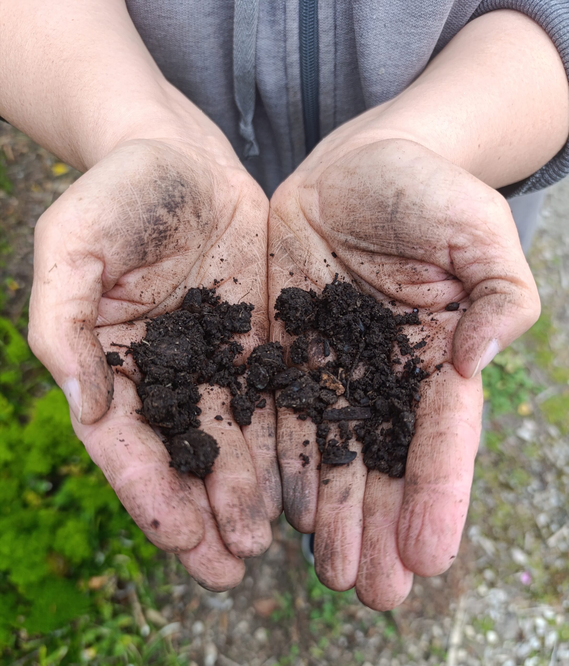 Two hands with soil