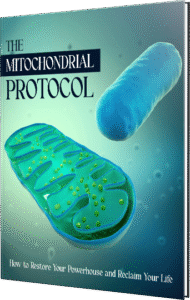 The Mitochondrial Protocol