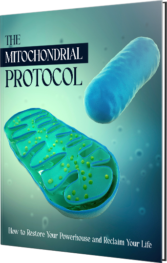 The Mitochondrial Protocol