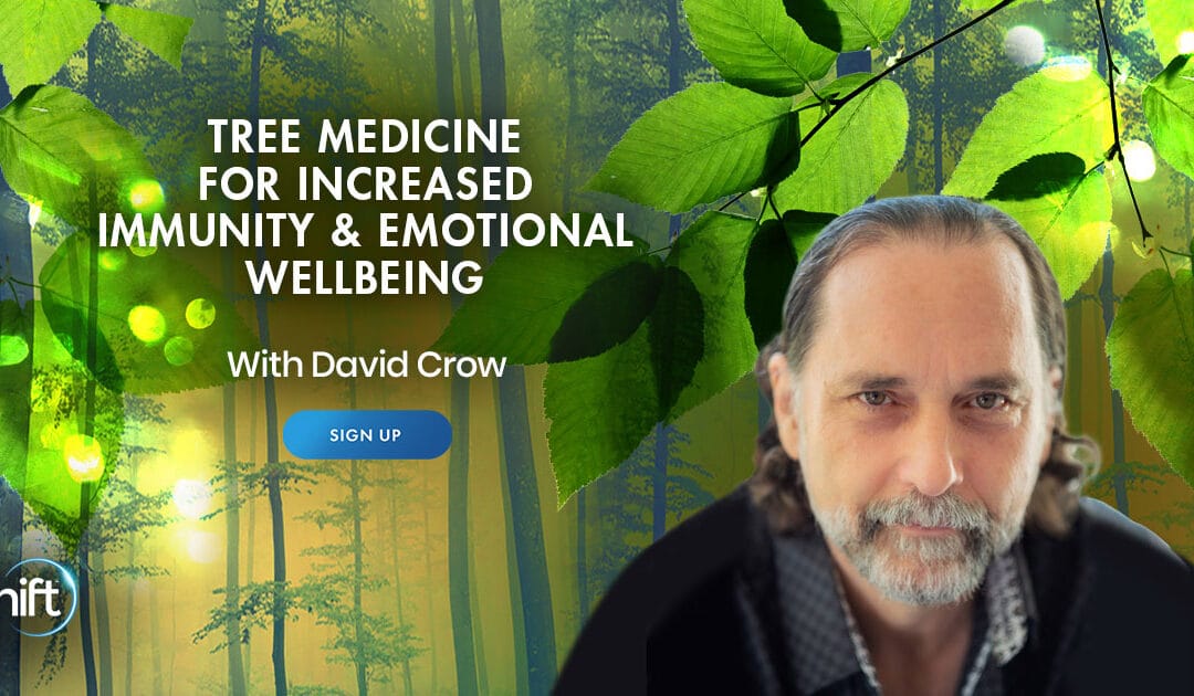 Tree Medicine with David Crow