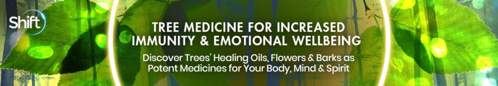 Tree Medicine with David Crow