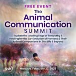 The Animal Communication Summit