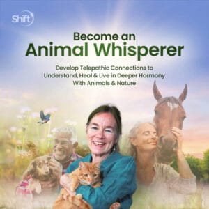 animal whisperer