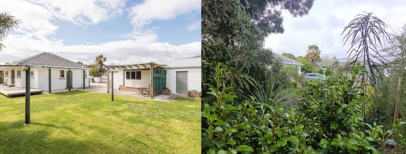 Backyard reforestation comparison