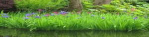 CTM Banner WEBP