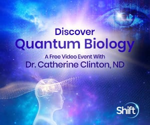 Quantum Biology